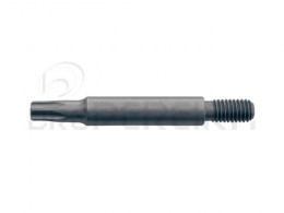 BIT TORX T25x45mm CB/T25M5 CETA FORM
