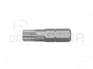 BIT XZN M6x25mm CB/856 CETA FORM