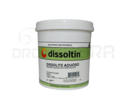 DISSOLITE AQUOSO - 1L
