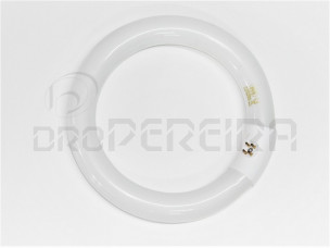 LAMPADA CIRCULAR FLUORESCENTE T9 22W