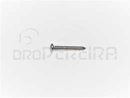 PARAFUSO AUTO-ROSCANTE C.QUEIJO INOX 2.9x13   1/2